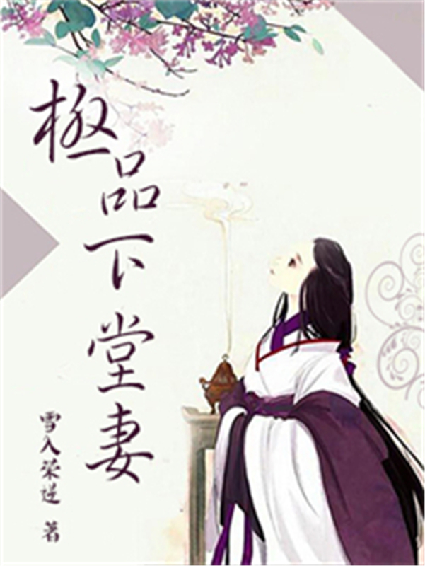 极品下堂妻